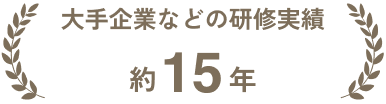 大手企業などの研修実績 約15年